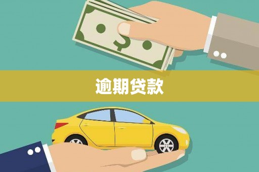 西海岸逾期贷款