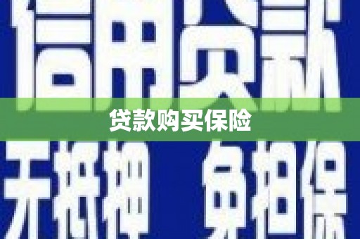 西海岸贷款购买保险