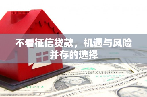 西海岸不看征信贷款，机遇与风险并存的选择