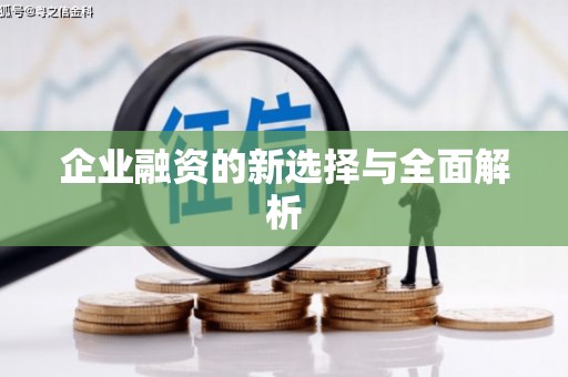 西海岸企业融资的新选择与全面解析