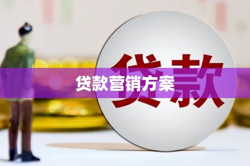 西海岸贷款营销方案