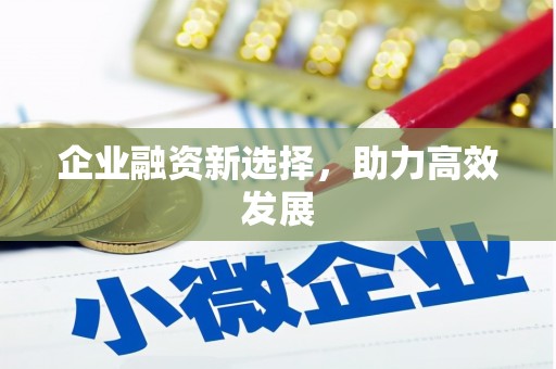 西海岸企业融资新选择，助力高效发展