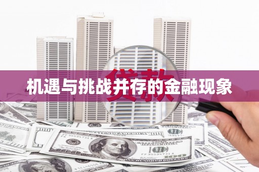 西海岸机遇与挑战并存的金融现象