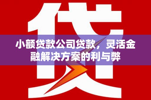 西海岸小额贷款公司贷款，灵活金融解决方案的利与弊