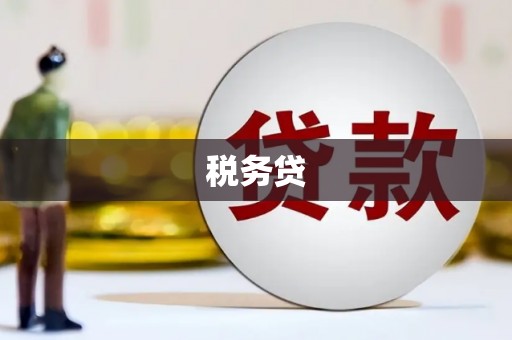 西海岸税务贷