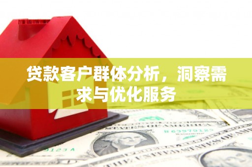 西海岸贷款客户群体分析，洞察需求与优化服务